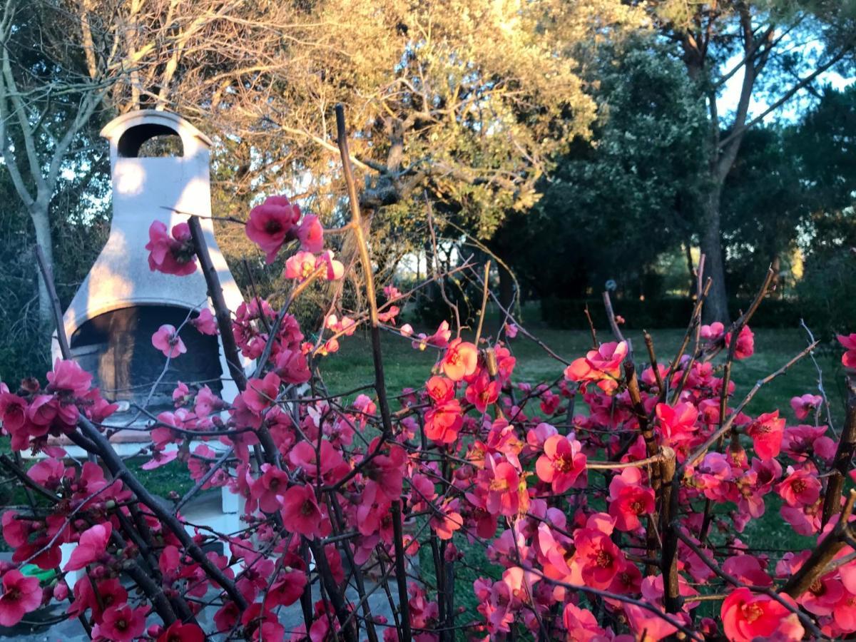 גרוסטו Agriturismo Salcino מראה חיצוני תמונה