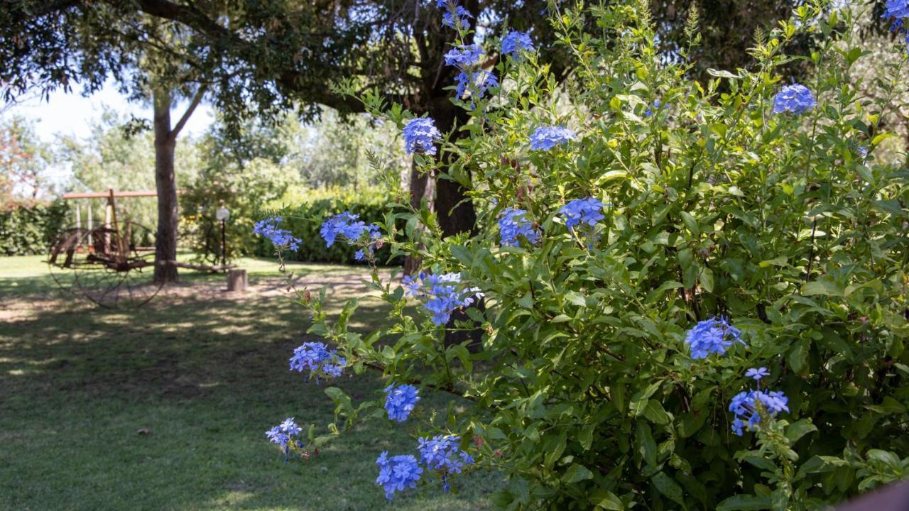 גרוסטו Agriturismo Salcino מראה חיצוני תמונה