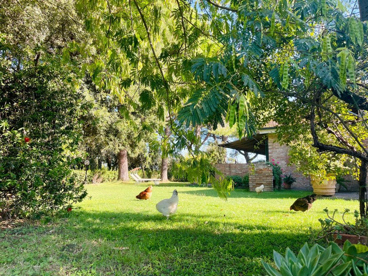 גרוסטו Agriturismo Salcino מראה חיצוני תמונה