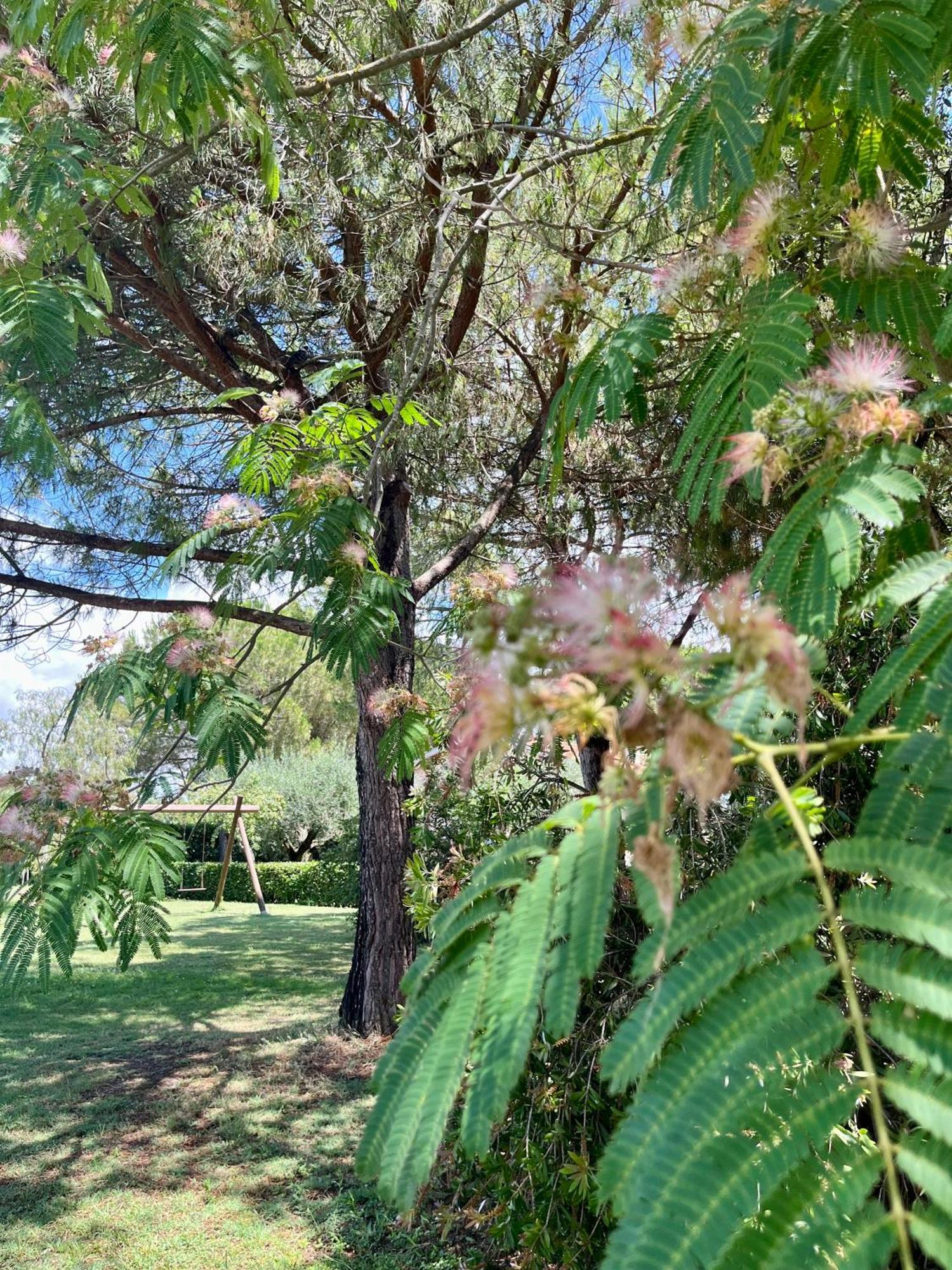 גרוסטו Agriturismo Salcino מראה חיצוני תמונה